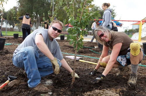 del aire public fruit park